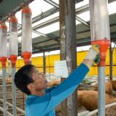 종석농장 이미지