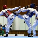 삼성태권도체육관 이미지