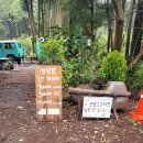 상덕목장 | 강아지랑 떠나는 목포/제주여행: 비밀의 숲/동문시장진아떡집/독새기김밥