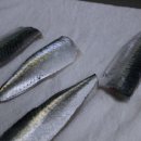 신산포구수산자연산횟집 이미지