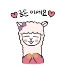 바크 이미지
