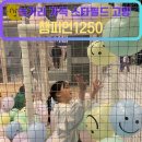 [고양시/챔피언1250] +스타필드, 탕진하게 되는 곳