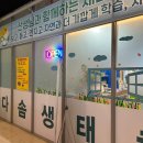 김천 아기랑 가볼만한곳 다솜생태관!