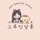 옥자네애견카페 유치원 호텔 미용 | 말티푸 라면이 옥자네 그루밍살롱 미용 [가좌동 옥자네 애견미용]