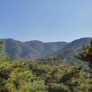 불영계곡1전망대 이미지