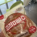 동서전기 | 2026년 하반기 한국동서발전 발전전기 필기 후기