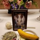 대전 이별공간 이미지