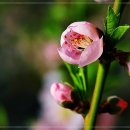 (주) 성도 이미지