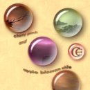 BLOSSOM 20 이미지