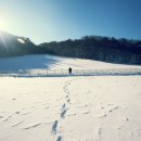 하늘목장 이미지