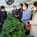 김영록농장 이미지