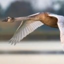 덕평자연휴게소 이미지