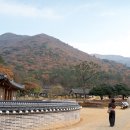 진도목장 이미지