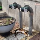 북구도서관(부평4동) 이미지