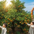 북풍농장 이미지