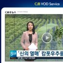 나린농장 이미지