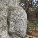 낙동리 석조여래입상 이미지