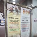 마로포차 이미지