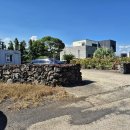 표선리-15 이미지