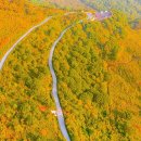 S자 굽이 700m 전부 단풍입니다 주말마다 사람들이 몰리는 가을 드라이브 명소 이미지