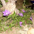 선류산장 이미지