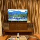 게러지나인 이미지