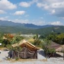 사과나무(주) 이미지