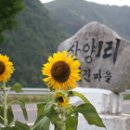 산양마을 이미지