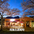 한라카냉동서비스 | 제주도 공항근처 벚꽃 명소 한라수목원 피자 맛집 리보스코