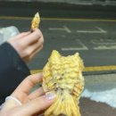 보령금산인삼사 이미지