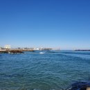 도깨비회수산 이미지