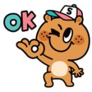 누리애견미용 이미지