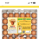 구운계란 1+1 🥚+🥚👉8800원 이미지