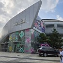 올림픽태권도체육관 | 이수역 성인태권도｜2026 김운용컵 국제오픈태권도대회 출전 후기 (품새·겨루기)