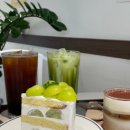 발포133 이미지