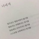 어은돌힐링야영장 이미지