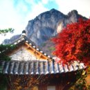 아주 오래전 인터넷신문에 실었던 여행칼럼 – 전남 장성 백양사(白羊寺) 이미지