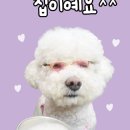 삼식이네푸드