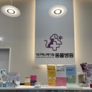 대구혁신메디컬 동물병원 이미지