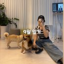 직산한의원 | 9월 일기 🎀