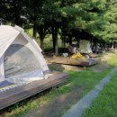 성동 서울숲 여름캠핑장 이미지