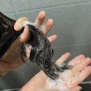 동림한방허브사우나 | 윌라이프 사우나 릴렉싱 올인원 바디워시 추천
