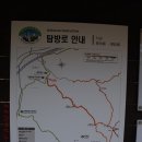 느티나무사거리 이미지