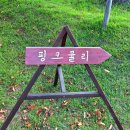 신소양체육공원 | ［합천 나들이］경남 합천 &#39;신소양체육공원&#39; 방문 후기 (핑크뮬리, 황화코스모스 축제) 가을 꽃구경 명소