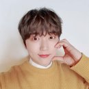산들파마