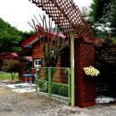 느티나무골펜션 이미지