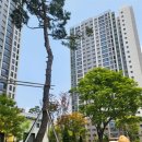 경기온공인중개사사무소 이미지