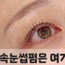 Feel뷰티 티스토리