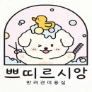 쁘띠르시앙 이미지