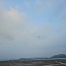톱머리리조트 이미지